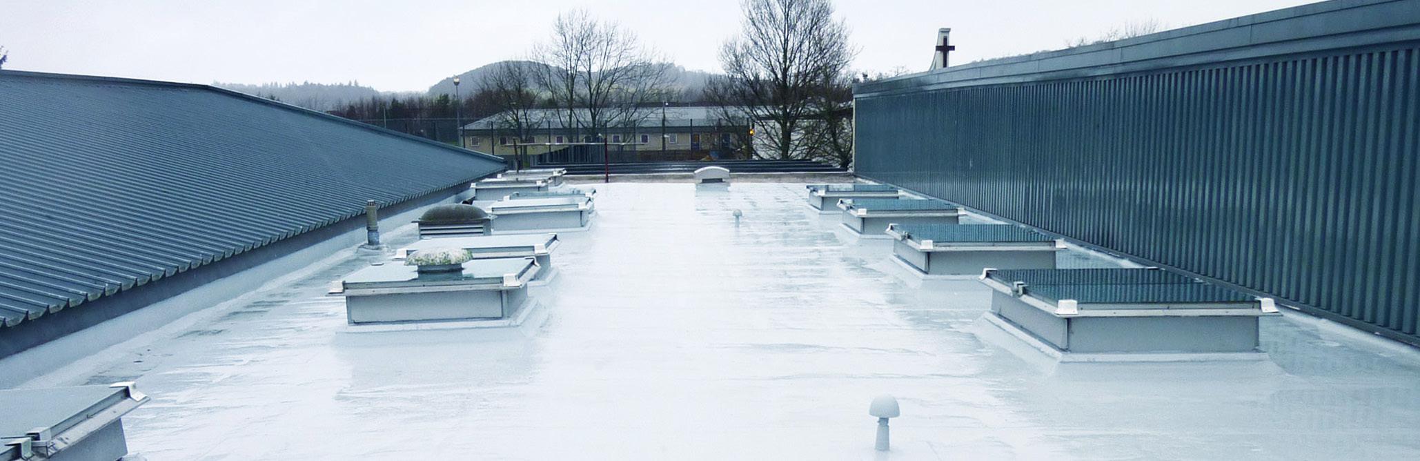 Roof Water Proofing