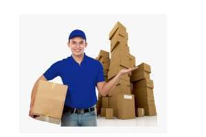 mover and packers services