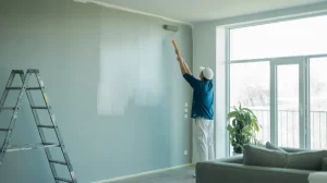 Types-of-Apartment-Painting-Services-Available