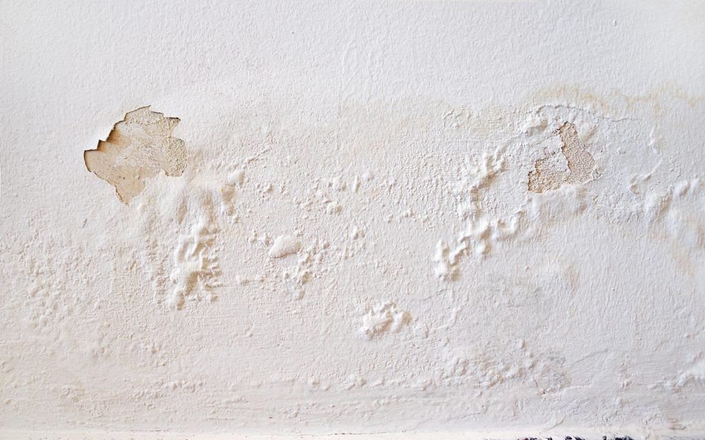 Signs Your Home Needs Repainting