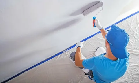 Hire Wall Painter in Meadows Villa
